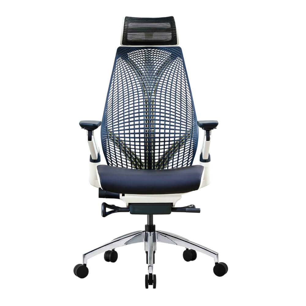 เก้าอี้เพื่อสุขภาพ DF PROCHAIR รุ่น iCare สีขาว